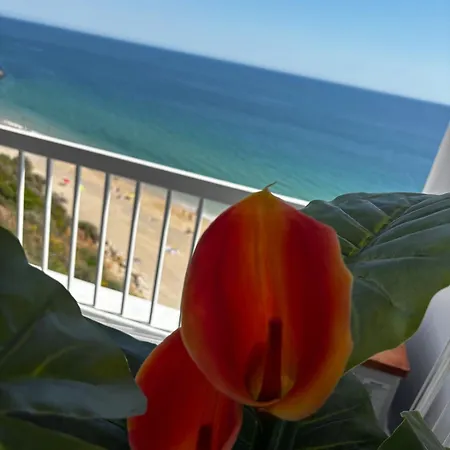 New - Luxury Front * Sesimbra