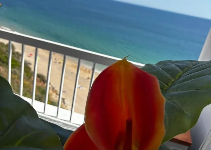 New - Luxury Front * Sesimbra